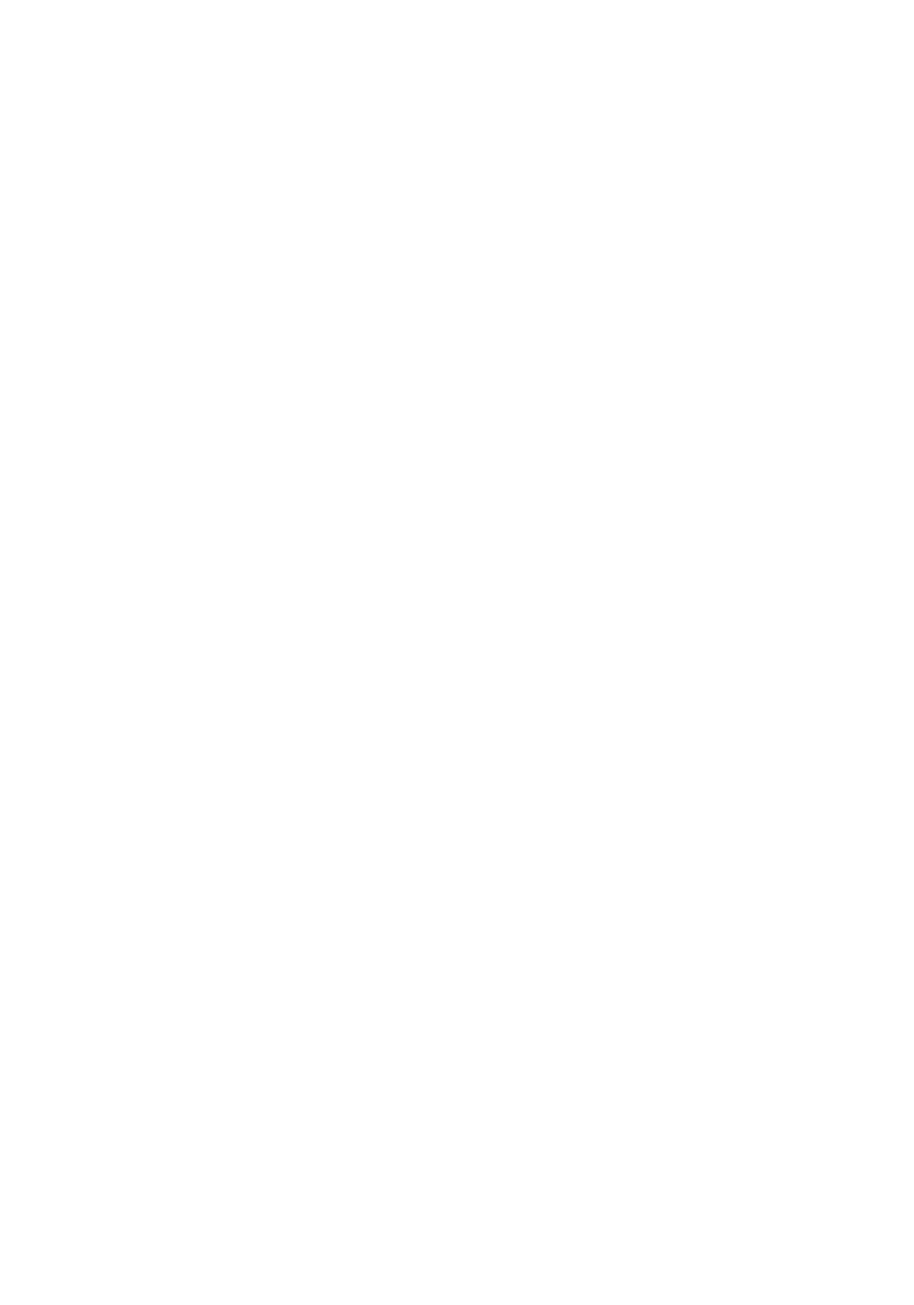 Video Border